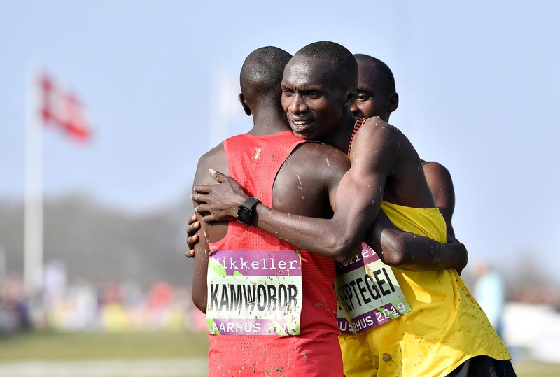 Illustration for article titled Real Cross Country Delivers Real Redemption